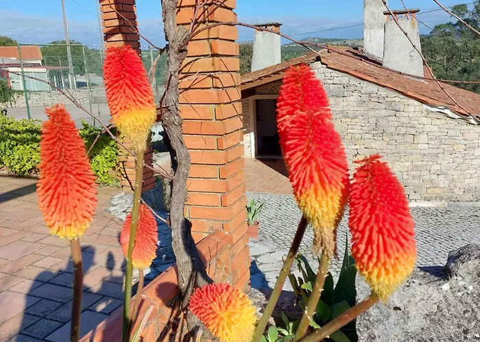 Дом отдыха Chou Da Covinha Arrimal